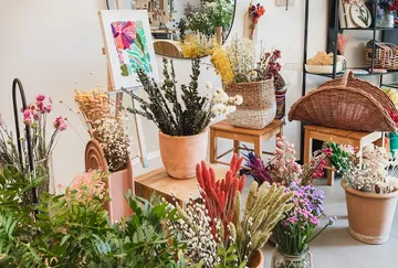 Bunte Trockenblumen in einem hellen Raum ausgestellt.