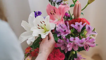 Hand arranging colorful bouquet of flowers.