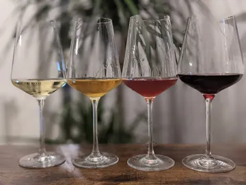 Vier Weingläser mit verschiedenen Flüssigkeiten stehen auf einem Tisch.
