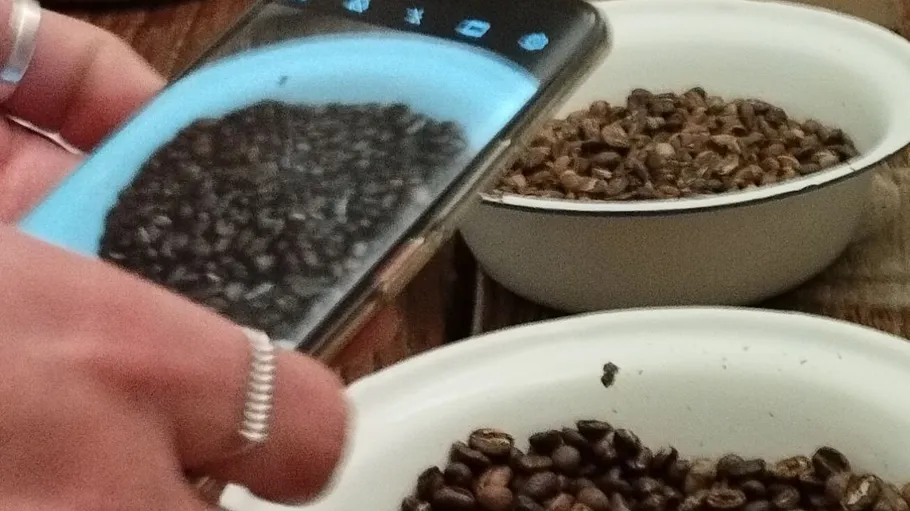 Hand photographing coffee beans in bowls.