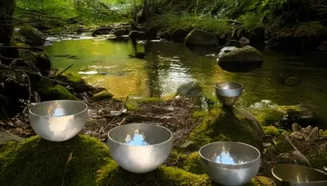 Metallschalen an einem ruhigen Waldbach platziert.