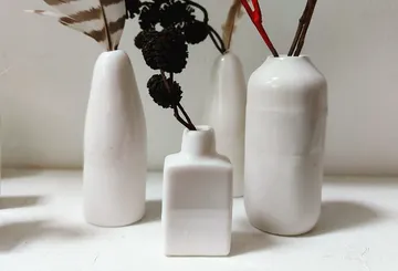 White vases with dried plants on table.