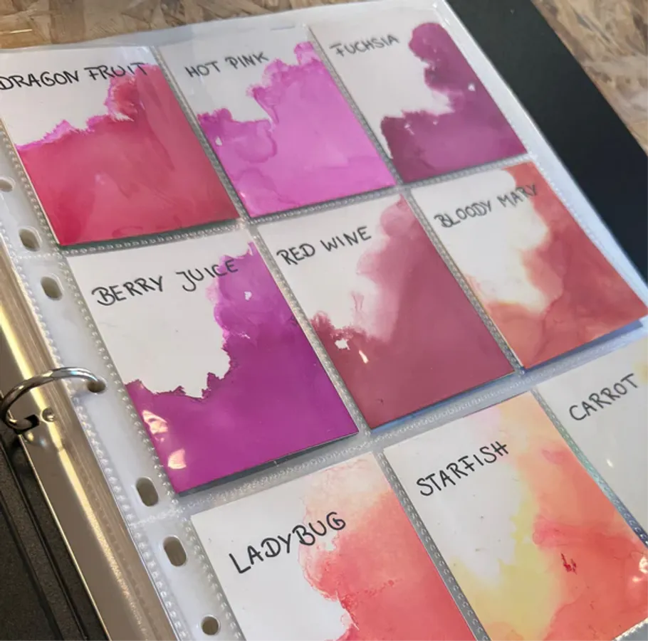 Color swatches in a binder with labels.
