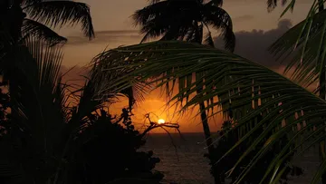 Sunset view framed by palm leaves.