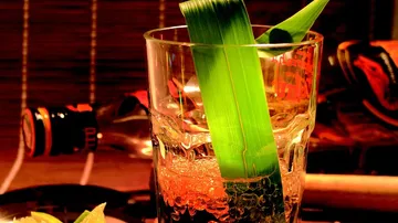 Cocktailglas mit grünen Blättern, Flaschen dahinter.