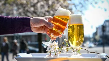 Hands clinking beer glasses outdoors, blossoms nearby.