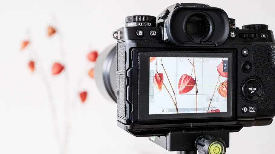 Camera photographing red leaves indoors.