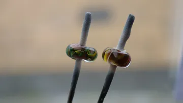 Two glass beads on rods, blurred background.