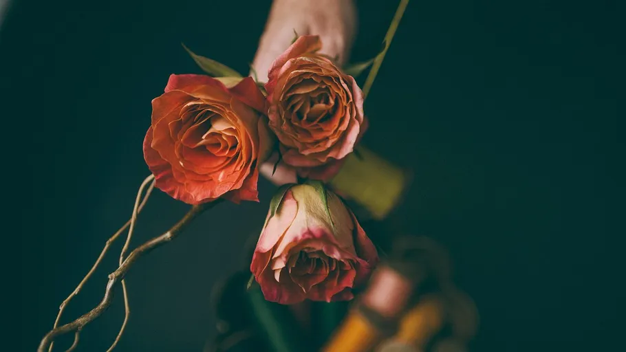 Hand holding three orange roses, dark background.