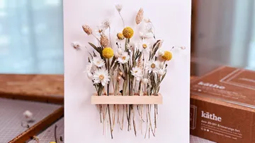 Getrocknete Blumen auf weißem Hintergrund arrangiert.