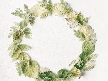 Wreath of leaves arranged around a white background.