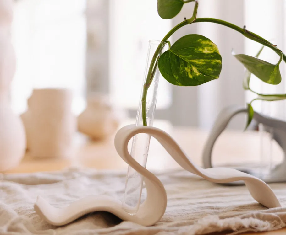 Plant in curvy vase on a table.