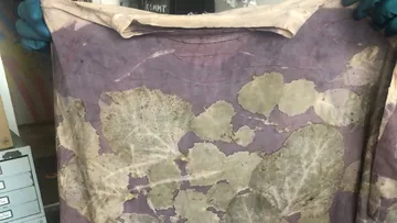 T-shirt with leaf prints held by gloved hands.