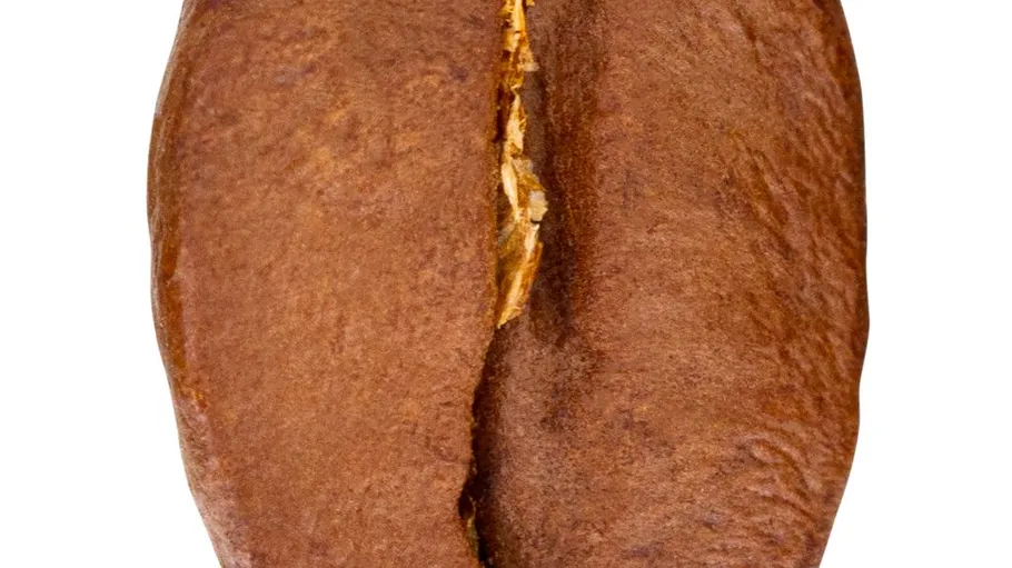 Close-up of a single coffee bean.