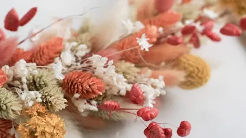 Colorful dried flowers arranged on a white background.