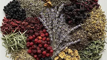 Dried herbs and berries arranged in a circle.