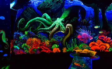 Leuchtender Oktopus in lebhafter Unterwasserszene.