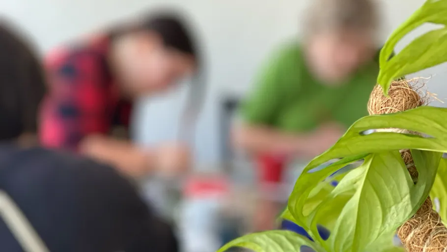 Pflanze im Vordergrund, unscharfe Personen im Hintergrund.