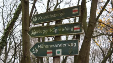 Holzschilder zeigen im Wald.