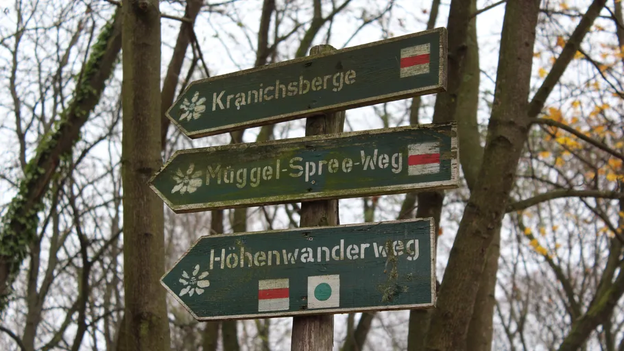 Wooden signs pointing in forest.