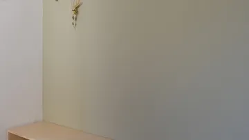 Wand mit kleiner Pflanzen-Deko hängend.