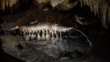 Cave rock resembling a crocodile's head.