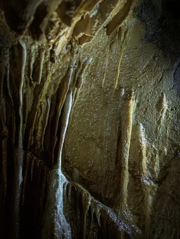 Stalaktiten hängen in einer dunklen Höhle.