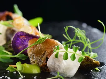 Gourmet dish with vegetables, served on a black plate.