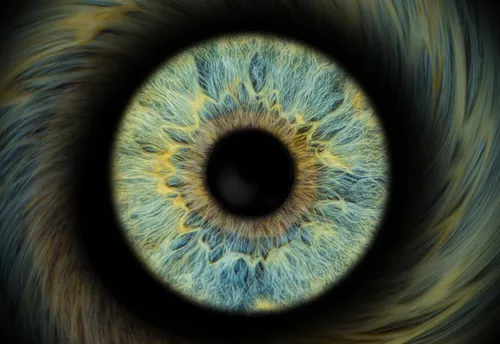 Nahaufnahme einer blau-grünen Iris Auge.