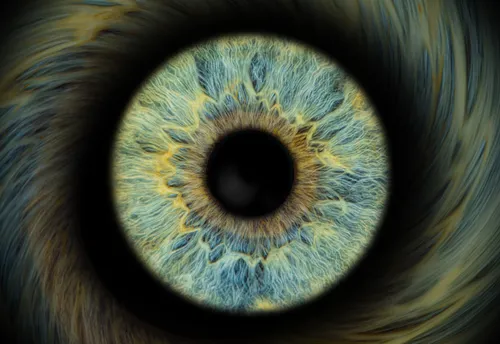 Nahaufnahme einer blau-grünen Iris Auge.