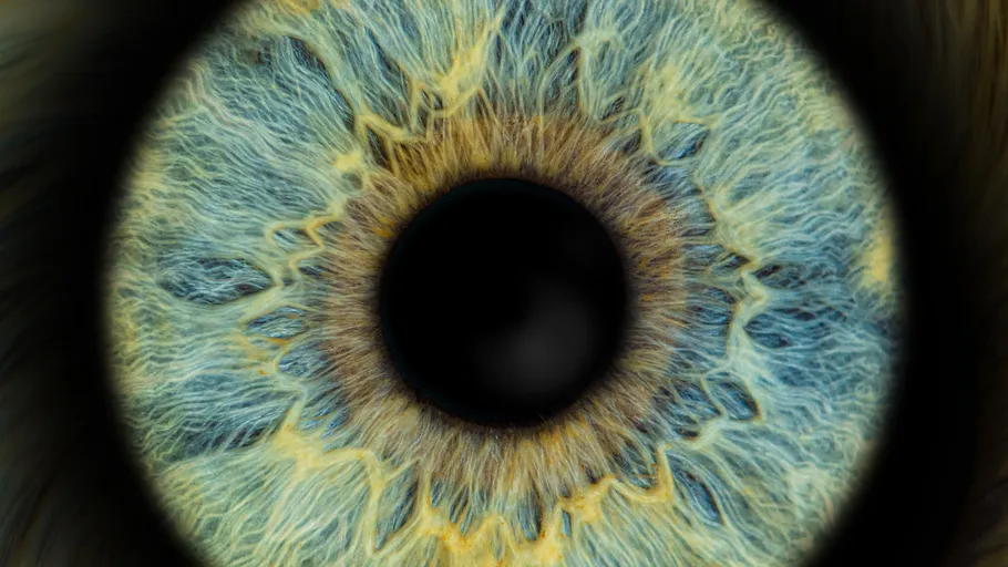Nahaufnahme einer blau-grünen Iris Auge.