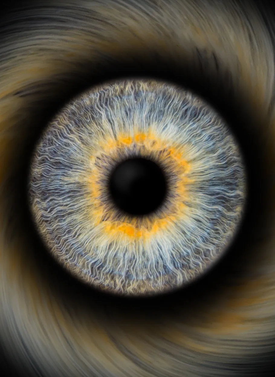 Close-up of a colorful human iris.