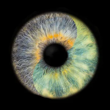 Nahaufnahme einer bunten menschlichen Iris auf schwarzem Hintergrund.