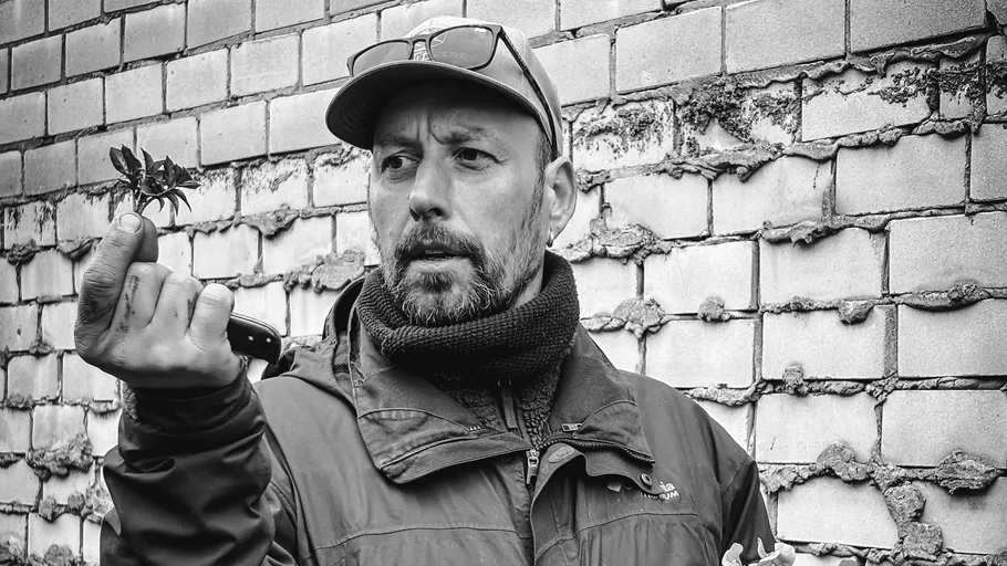 Man holding plant against a brick wall.