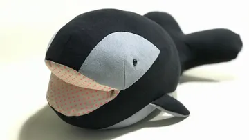 Plush orca whale on white background.