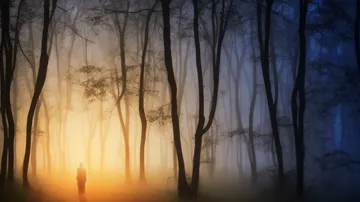 Person walking in misty, illuminated forest.