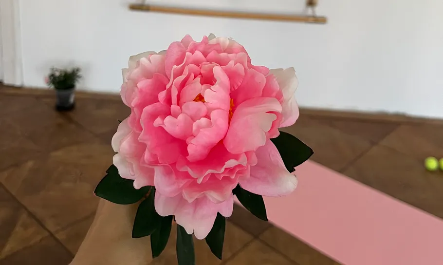 Pink flower held indoors with yoga mat.
