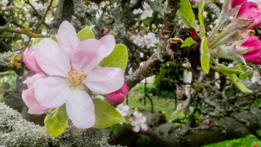 Naturfotografie