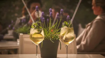 Two cocktails beside lavender plant, outdoor setting.