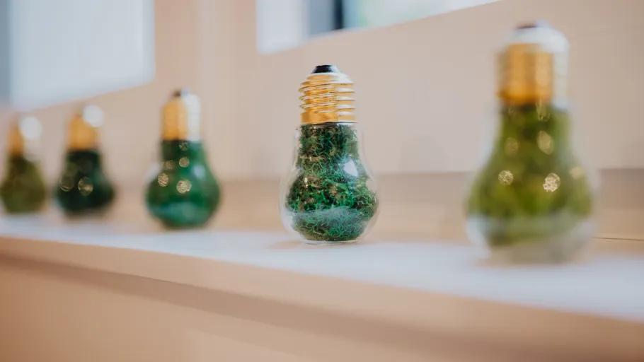 Light bulbs filled with green moss displayed.