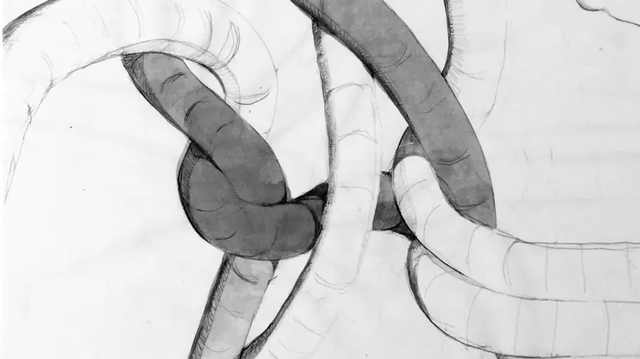 Abstract tangled tubes drawn on paper.
