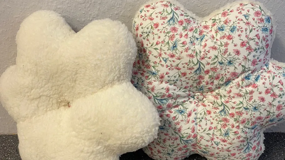 Two cloud-shaped pillows, one plain, one floral.