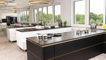 Modern kitchen with multiple cooking stations and windows.