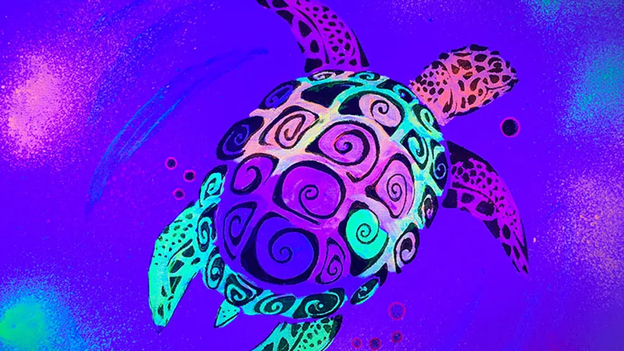 Buntes Schildkrötenbild mit abstraktem Design.