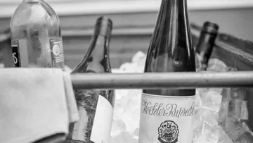 Wine bottles chilling in an ice-filled container.