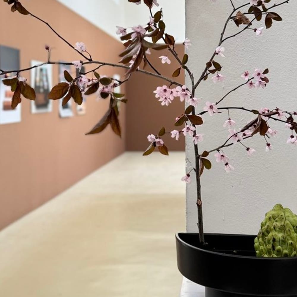 Ikebana Freestyle Workshop in München