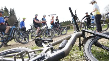 Bicycle group resting on grassy area outdoors.