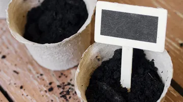 Plant pots with soil and blank signs.