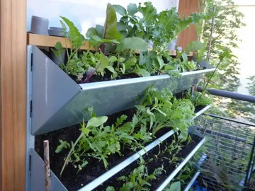 Vertical garden with various plants on shelves.
