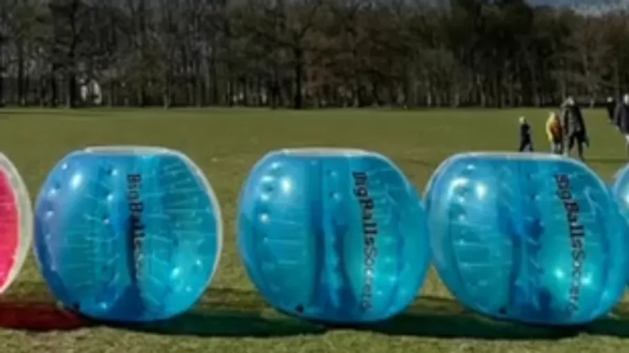 Inflatable balls lined up on grassy field.